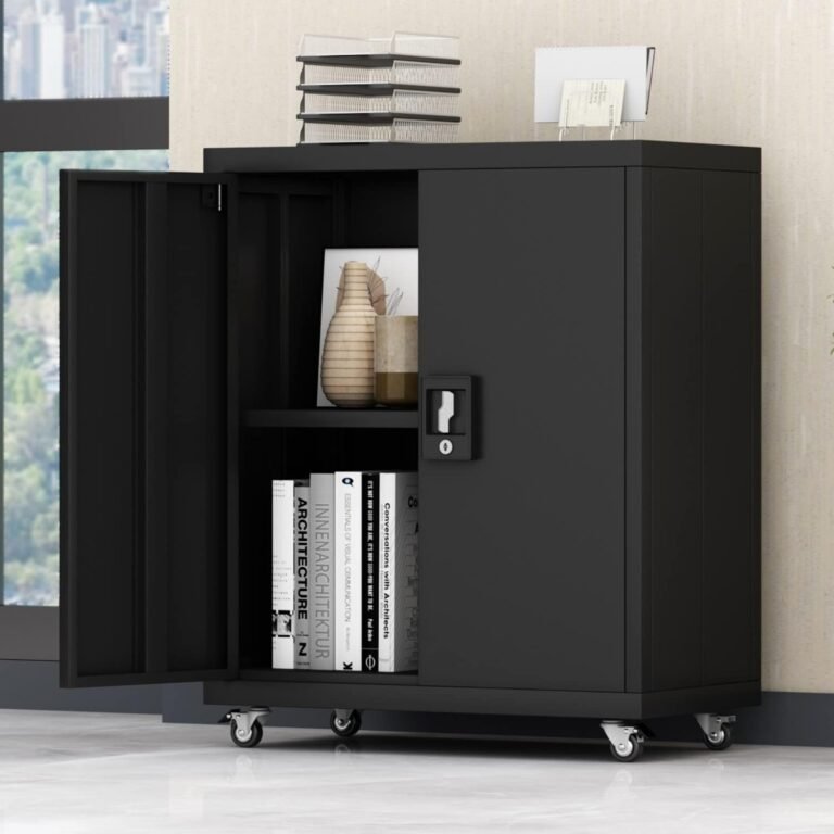 Metal Storage Cabinet with Wheels, Tool Cabinets for Garage, Small Storage Cabinet with Doors, Rolling Storage Cabinet with Adjustable Shelves, Garage Tool Cabinet for Home, Office, Studyroom