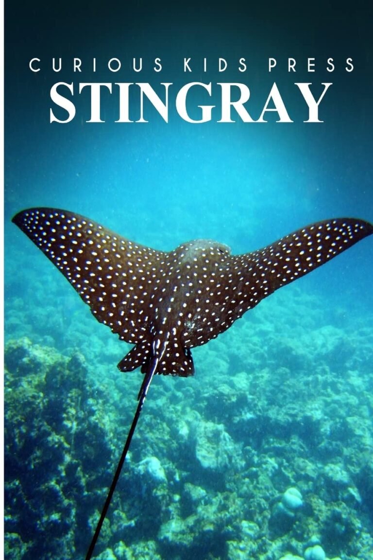 Stingray – Curious Kids Press: Kids book about animals and wildlife, Children’s books 4-6