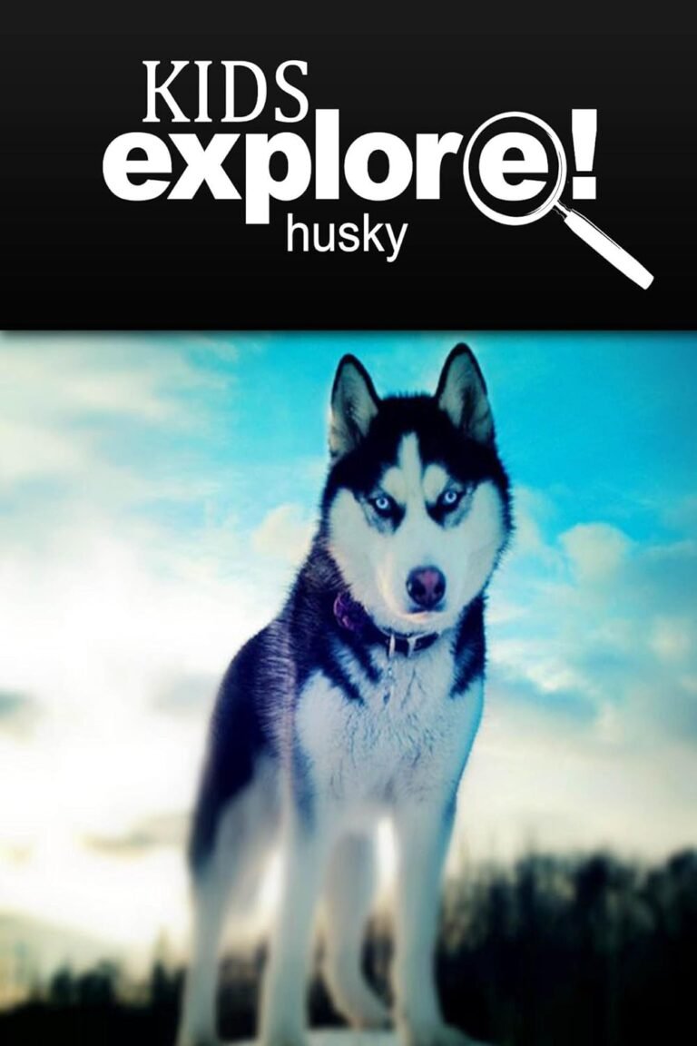 Husky – Kids Explore: Animal books nonfiction – books ages 5-6