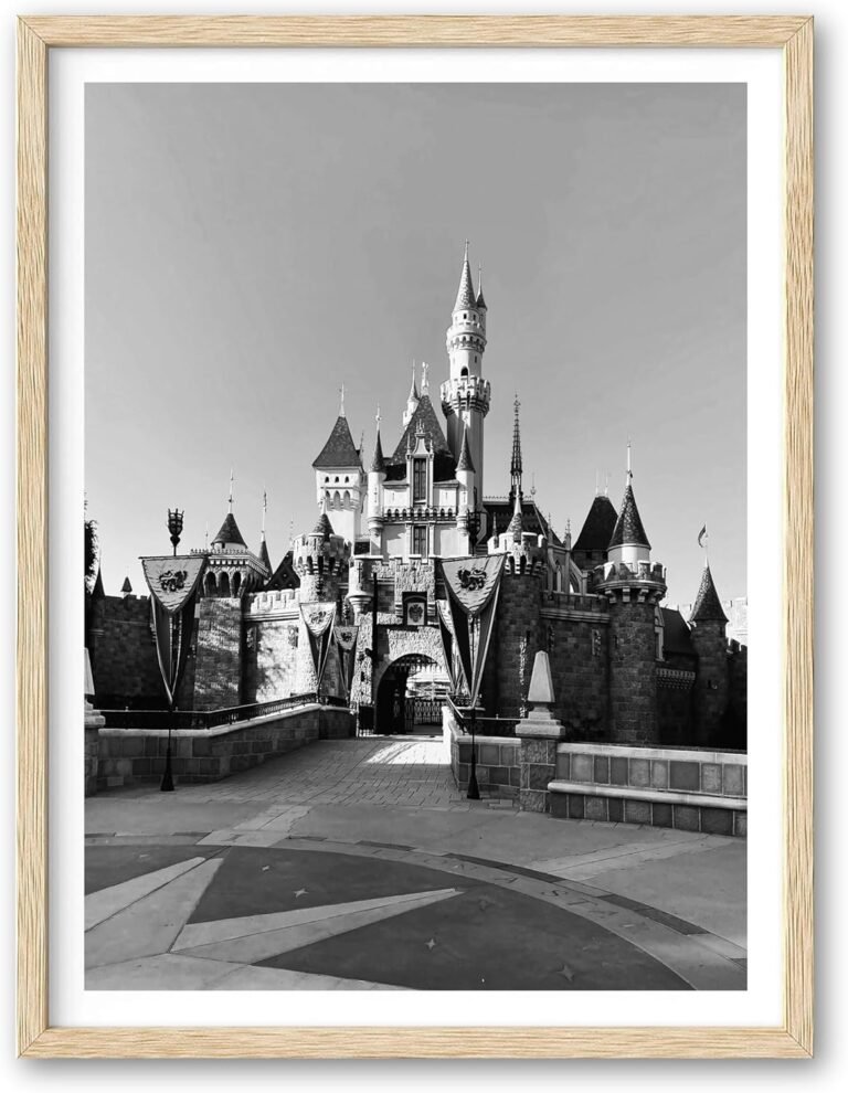 HesenDot Castle Framed Wall Art,12x16in Black and White Theme Park Photography Canvas Print,OAK Frame Poster Wall Decor,Iconic Minimalist Living Room Bedroom Study Home Office Decoration,Set of 1
