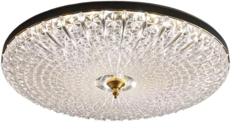Acrylic Ceiling Lamp, Round Semi Flush Mount LED Ceiling Light,Three-Color Dimming European Style Lighting Decoration Fixture for Study Dining Room Living Room Bedroom and Office(Black,19.7in)