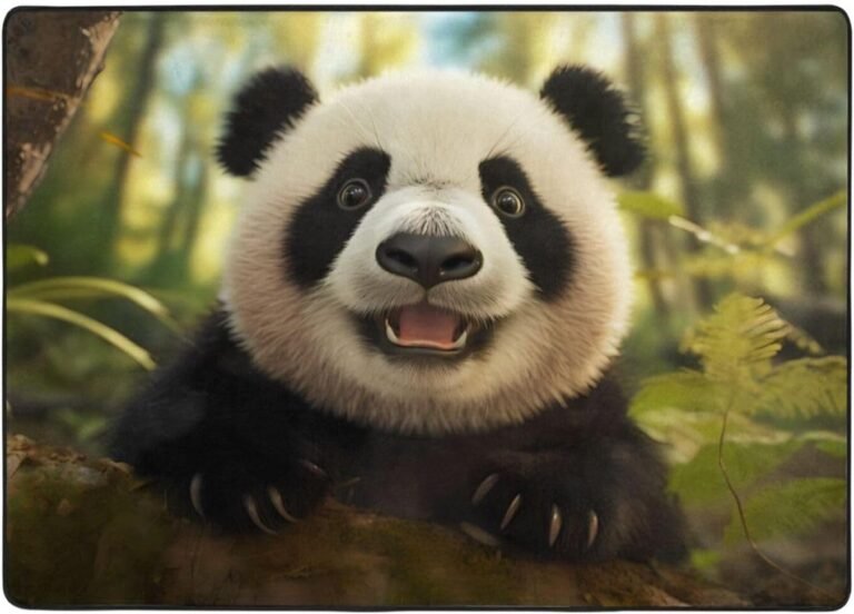 Panda Portrait Photo Flannel Floor mat (80×58 inches), Bedroom Carpet, Living Room and Study Decoration mat