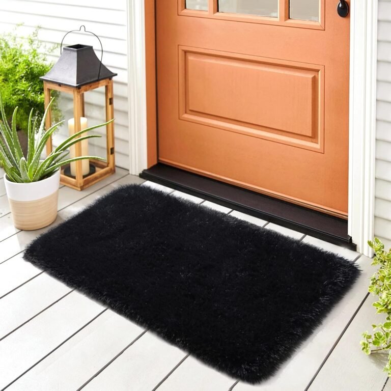 Noahas Door Mat Indoor Entrance,2×3 Shaggy Small Black Area Rugs for Entryway,Non-Slip Fluffy Entry Bedroom Rug,Soft Plush Bedside Throw Kids Carpet