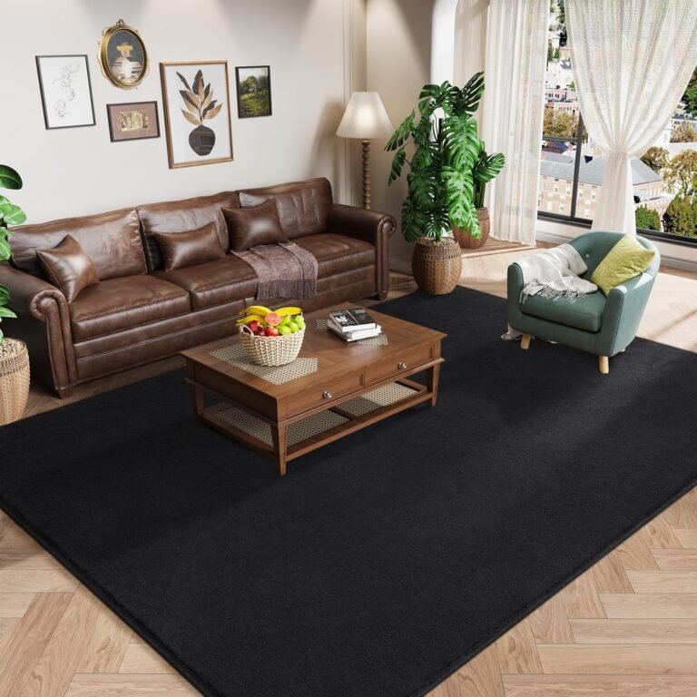 Amearea Modern Area Rugs for Bedroom Living Room, 4×6 Feet Black Thickened Memory Foam Rug, Fluffy Indoor Washable Rugs Non Slip Minimalist Carpet for Kids Boys Girls Dorm Nursery Room Decor