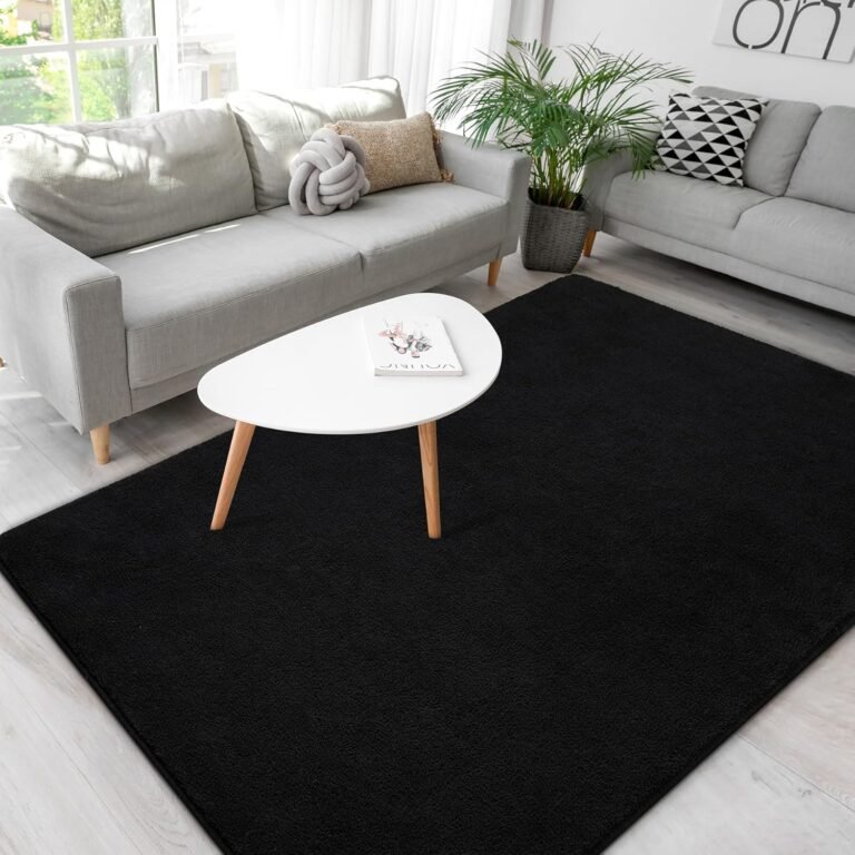 B BENRON Soft Rugs for Living Room 4×6 Black, Minimalist Area Rug for Bedroom Nursery Dining Table Dorm, Throw Rugs for Men Boys Girls Kids Room Indoor Floor Carpets