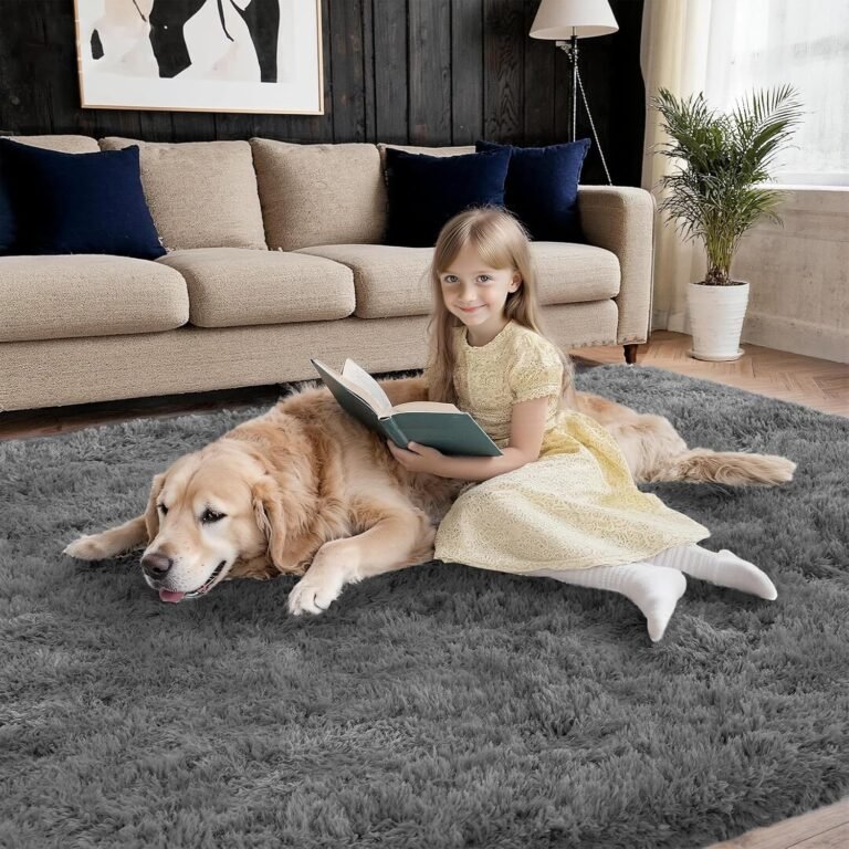 Shag Grey Rug 4×6 Area Rugs for Bedroom Dorm Living Room, Non-Slip Ultra Soft Fluffy Area Rugs for Kids Room, Girls Room, Study, Office, Playroom, Easy to Clean, Modern Carpet Décor
